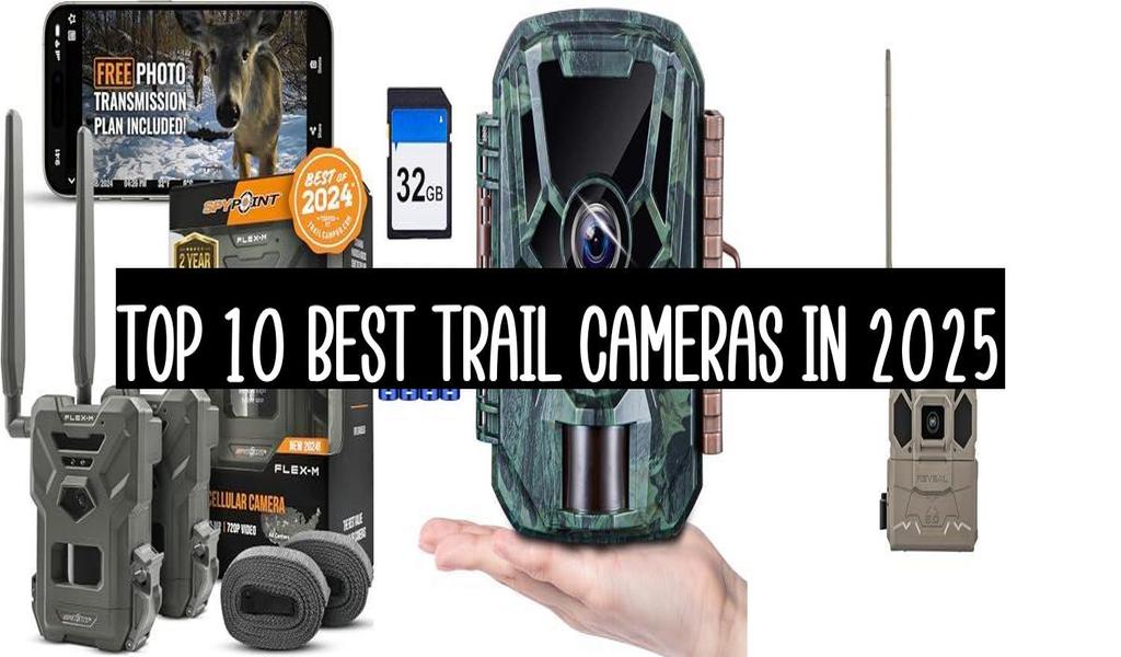 Top 10 Best Trail Cameras In 2025